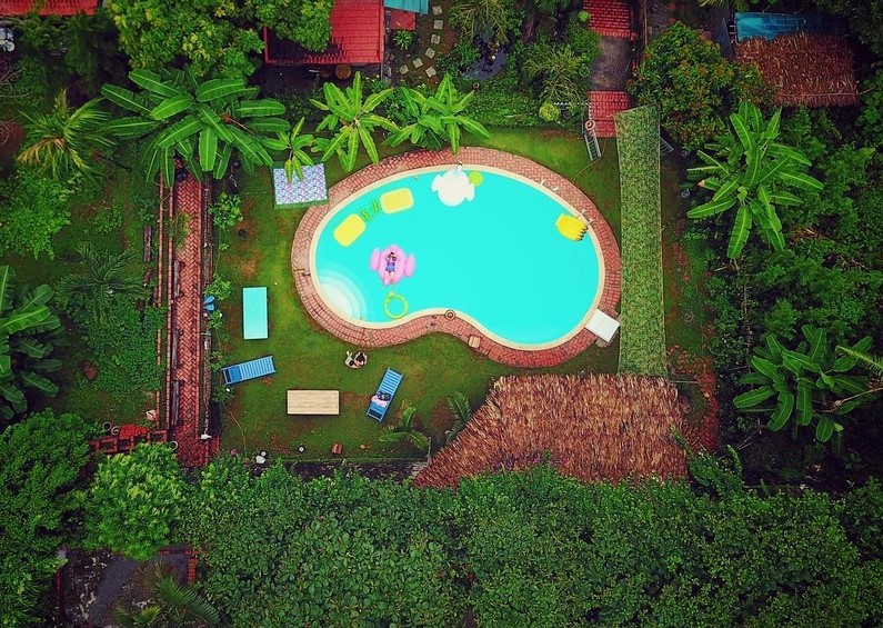 Review Banana And Rose